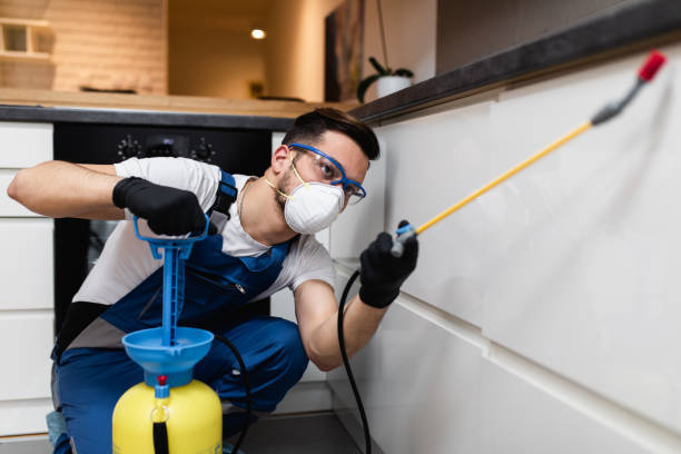 Best Termite Control Services  in Apple Valley, OH