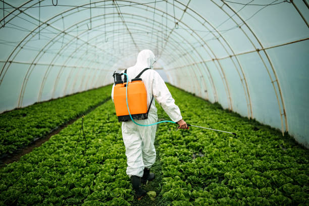 Trusted Apple Valley, OH Pest Control Experts