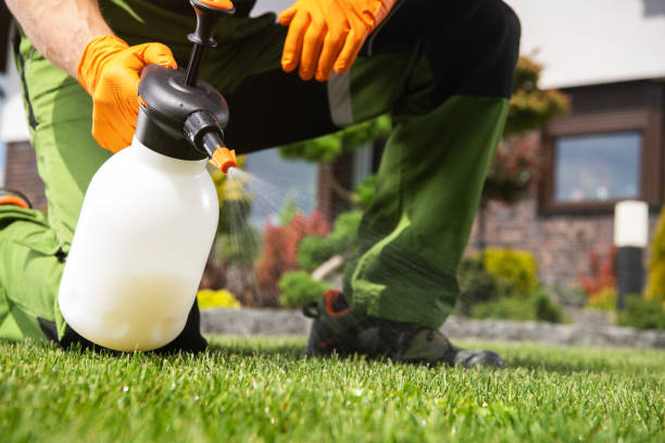 Best Residential Pest Control  in Apple Valley, OH
