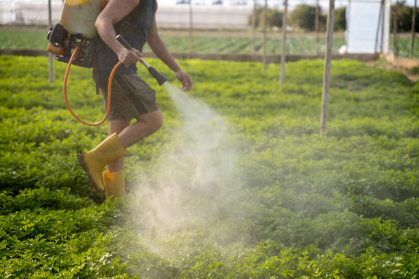 Best Best Pest Control Companies  in Apple Valley, OH