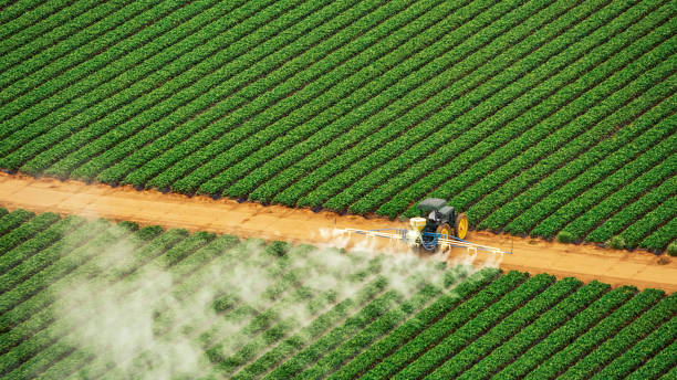 Best Commercial Pest Control Services  in Apple Valley, OH