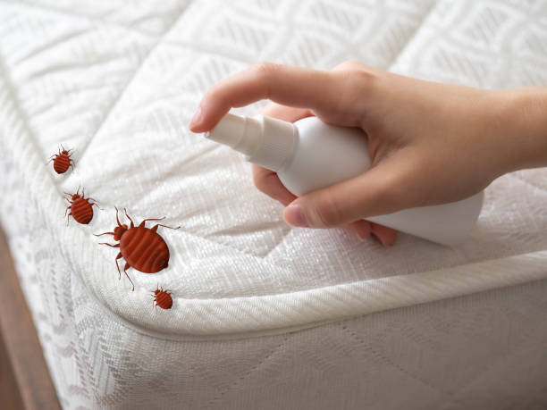 Best Ant Control Services  in Apple Valley, OH